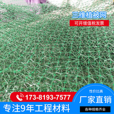 三維植被網(wǎng)